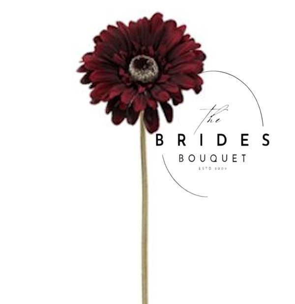 burgundy silk gerbera