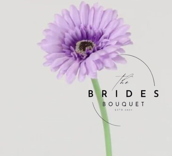 pale lilac silk gerbera