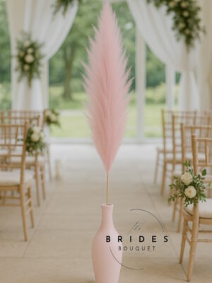 Pampas Grass