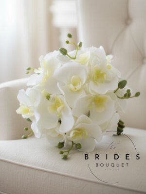 Ivory Orchid